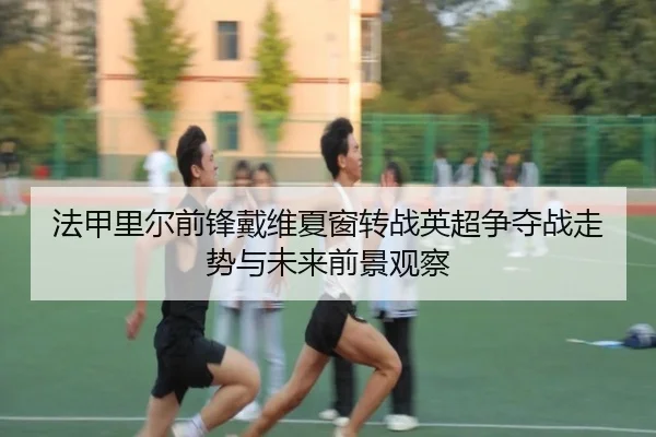 法甲里尔前锋戴维夏窗转战英超争夺战走势与未来前景观察